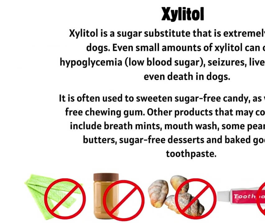 Common Household Toxin Risks
