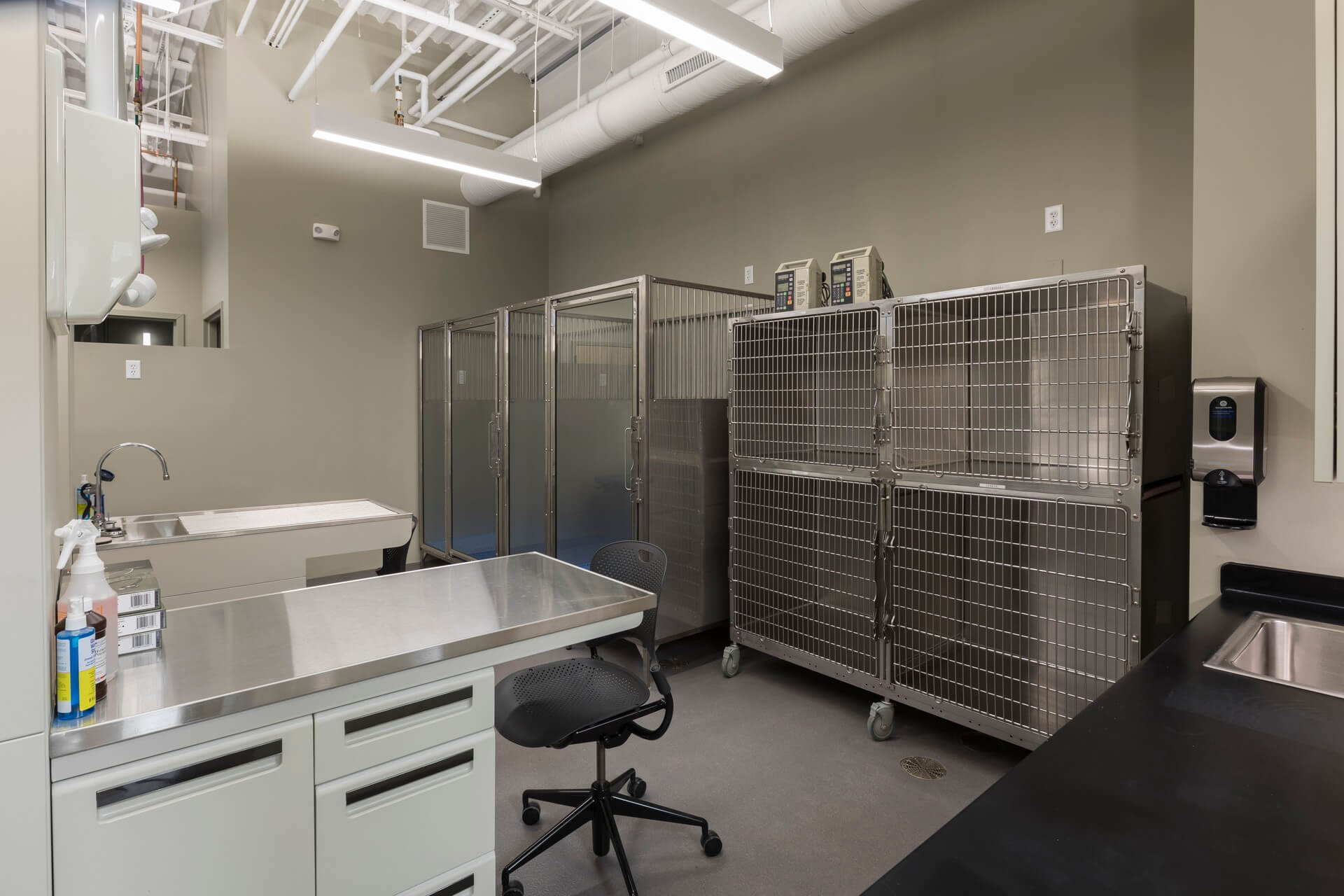 Boarding kennels – Everhart WellPet Center