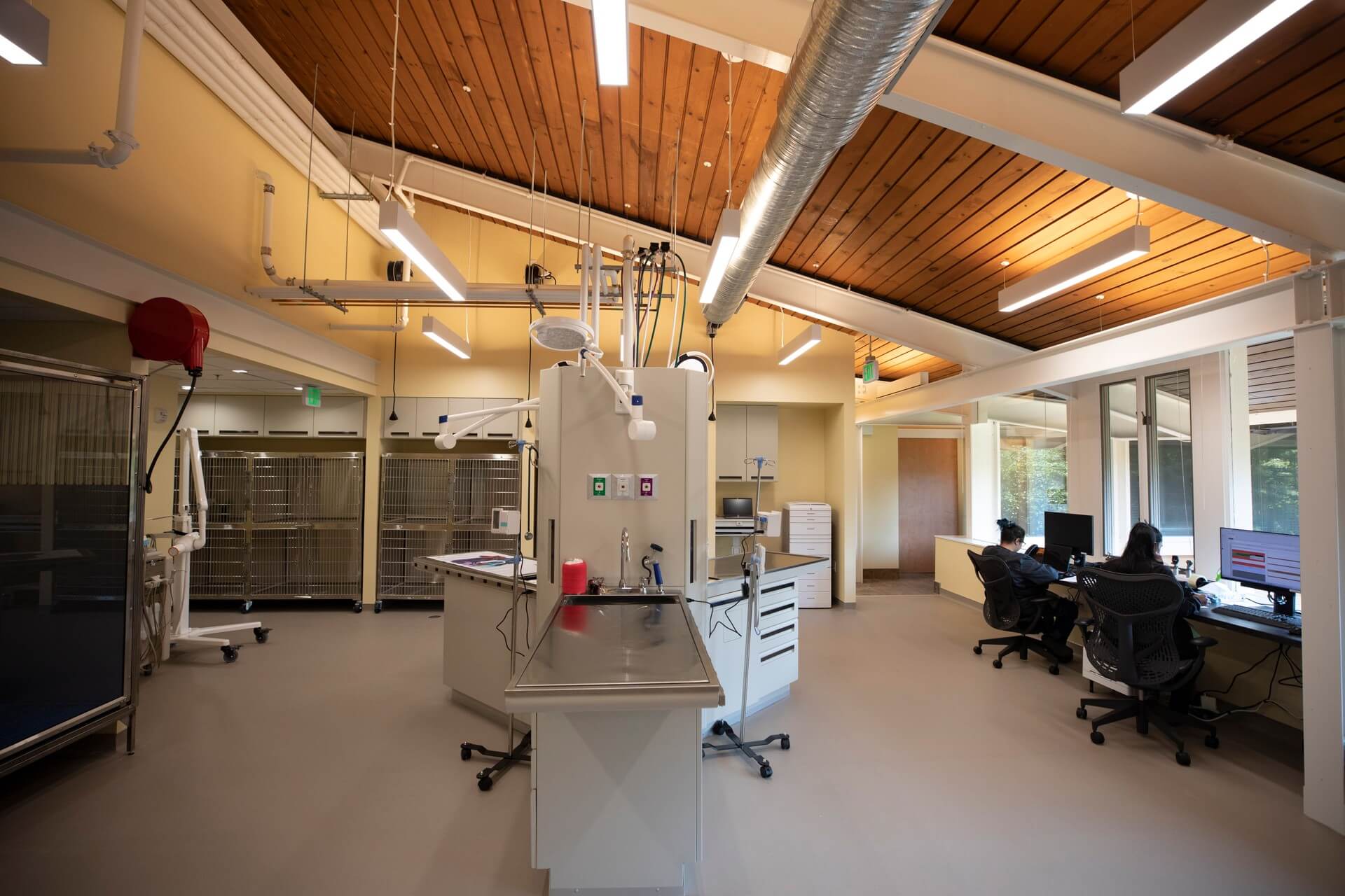 Consultation room – Everhart Veterinary Medicine, Village of Cross Keys
