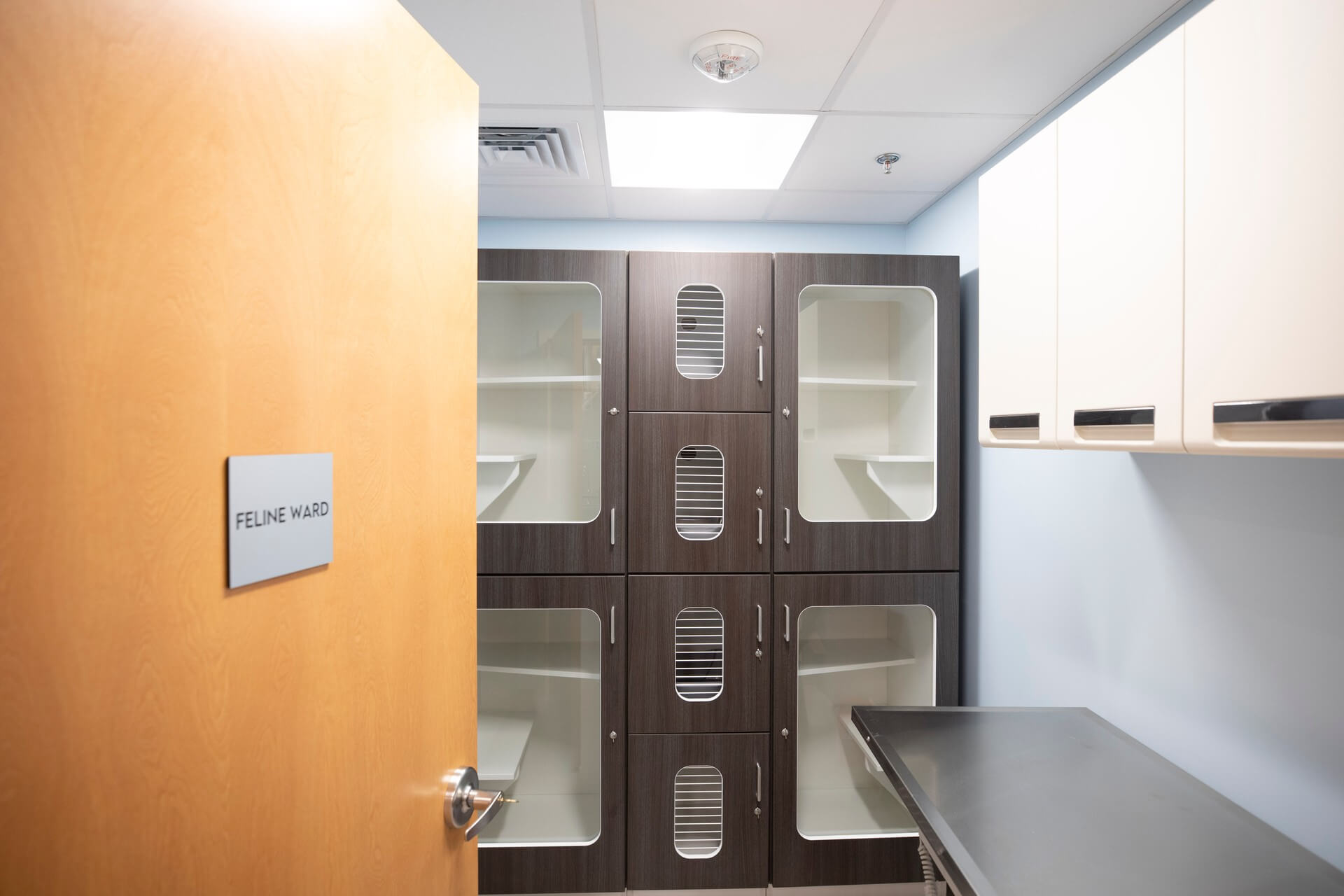 Dental suite – Everhart Veterinary Medicine, Village of Cross Keys