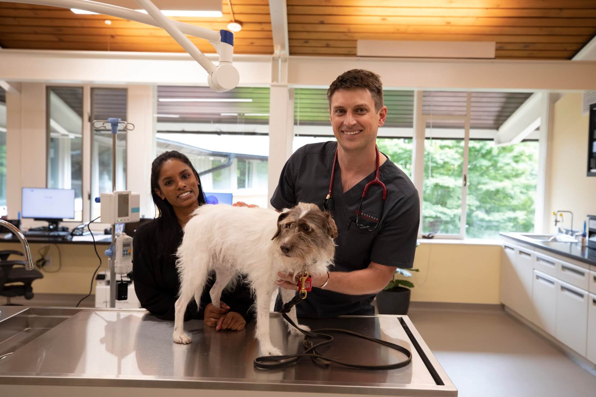 Dog wellness visit – Everhart Veterinary Medicine, Village of Cross Keys