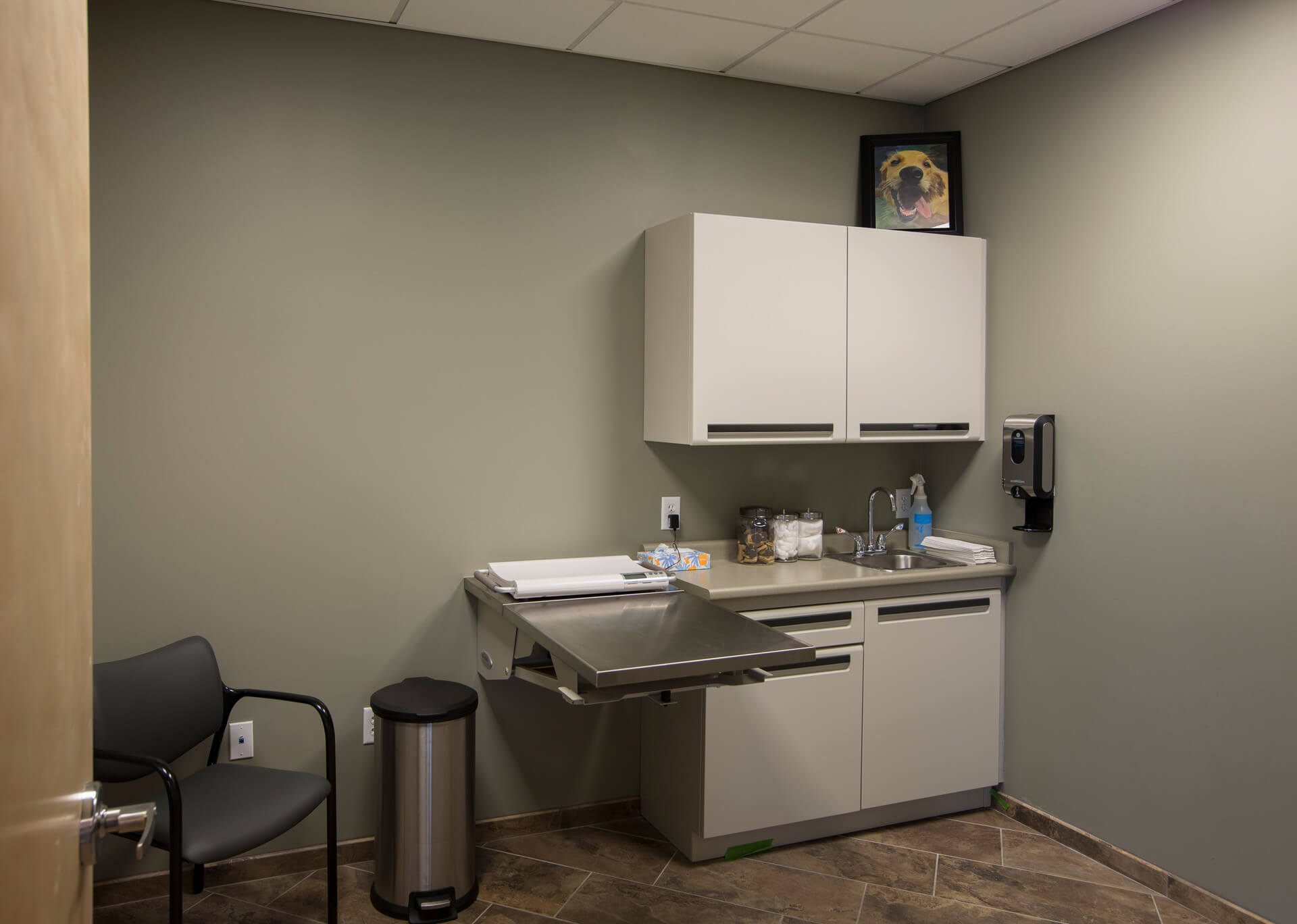 Exam room – Everhart WellPet Center