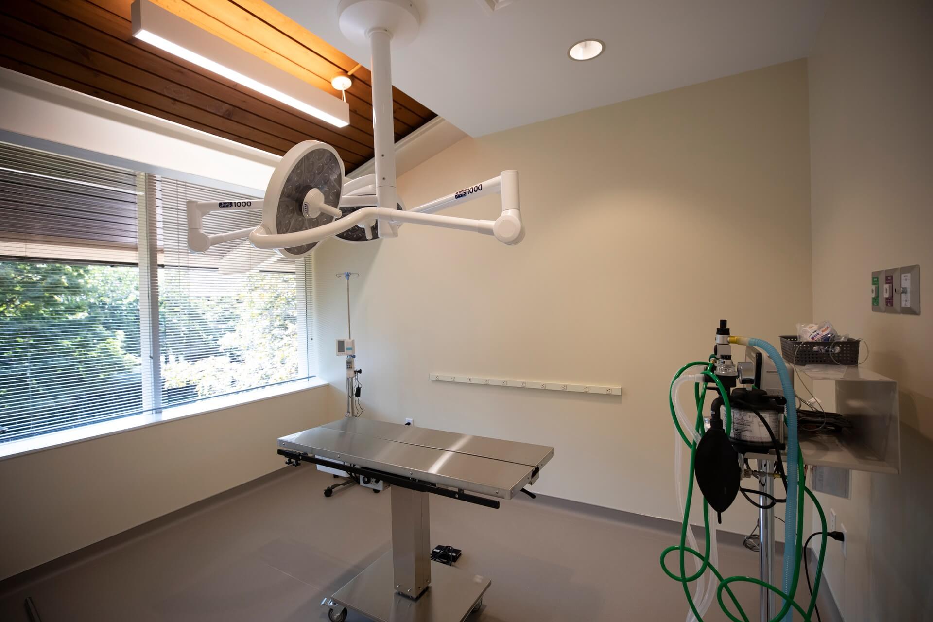 Exam room – Everhart Veterinary Medicine, Village of Cross Keys