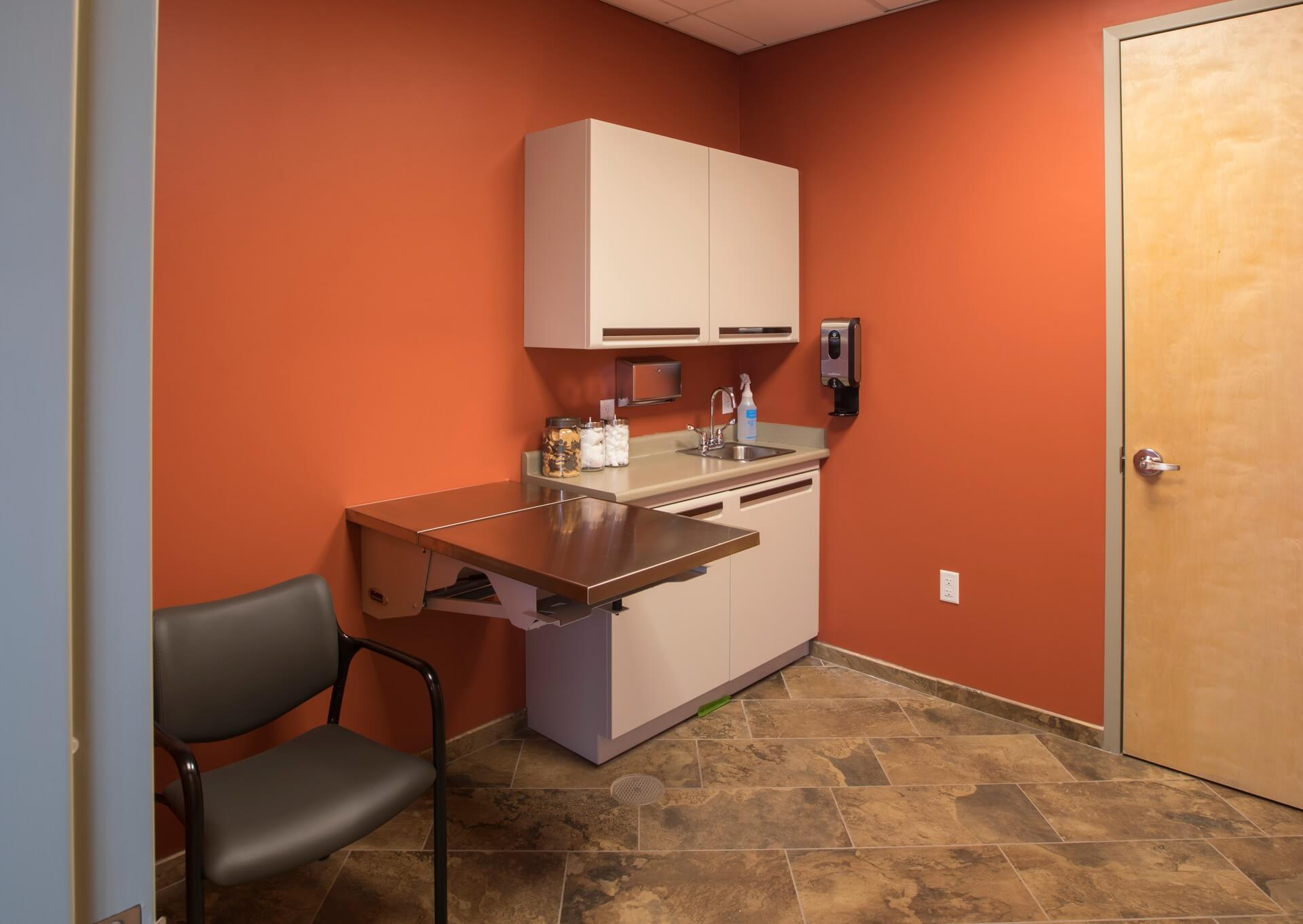 Exam room with feature wall – Everhart WellPet Center