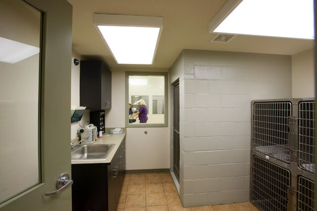 Exam room with window – Everhart Veterinary Hospital