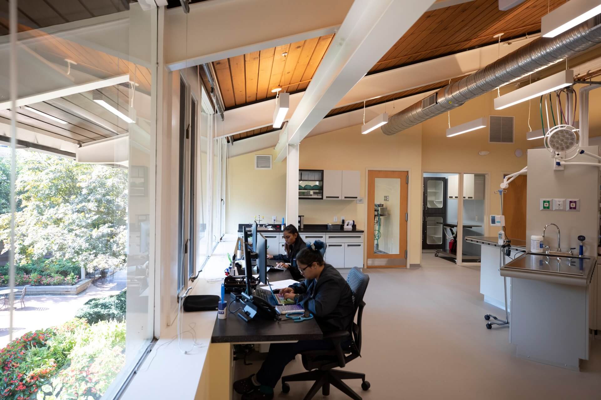 Examination room – Everhart Veterinary Medicine, Village of Cross Keys