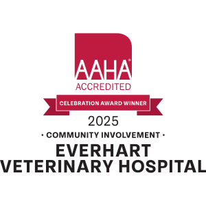 AAHA Community Involvement Hospital of the Year award badge for our veterinary hospital in Baltimore, MD