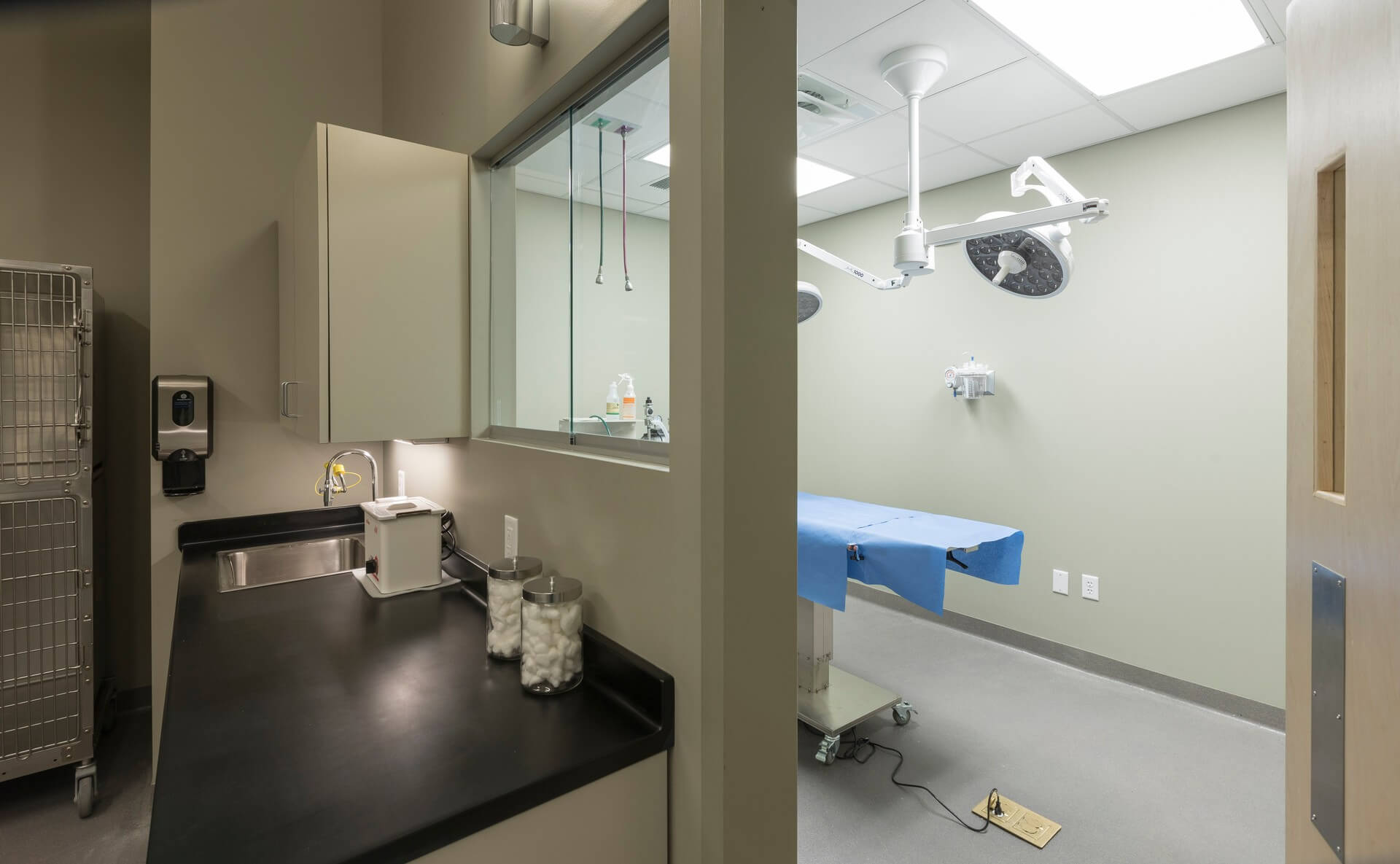 Laboratory – Everhart WellPet Center
