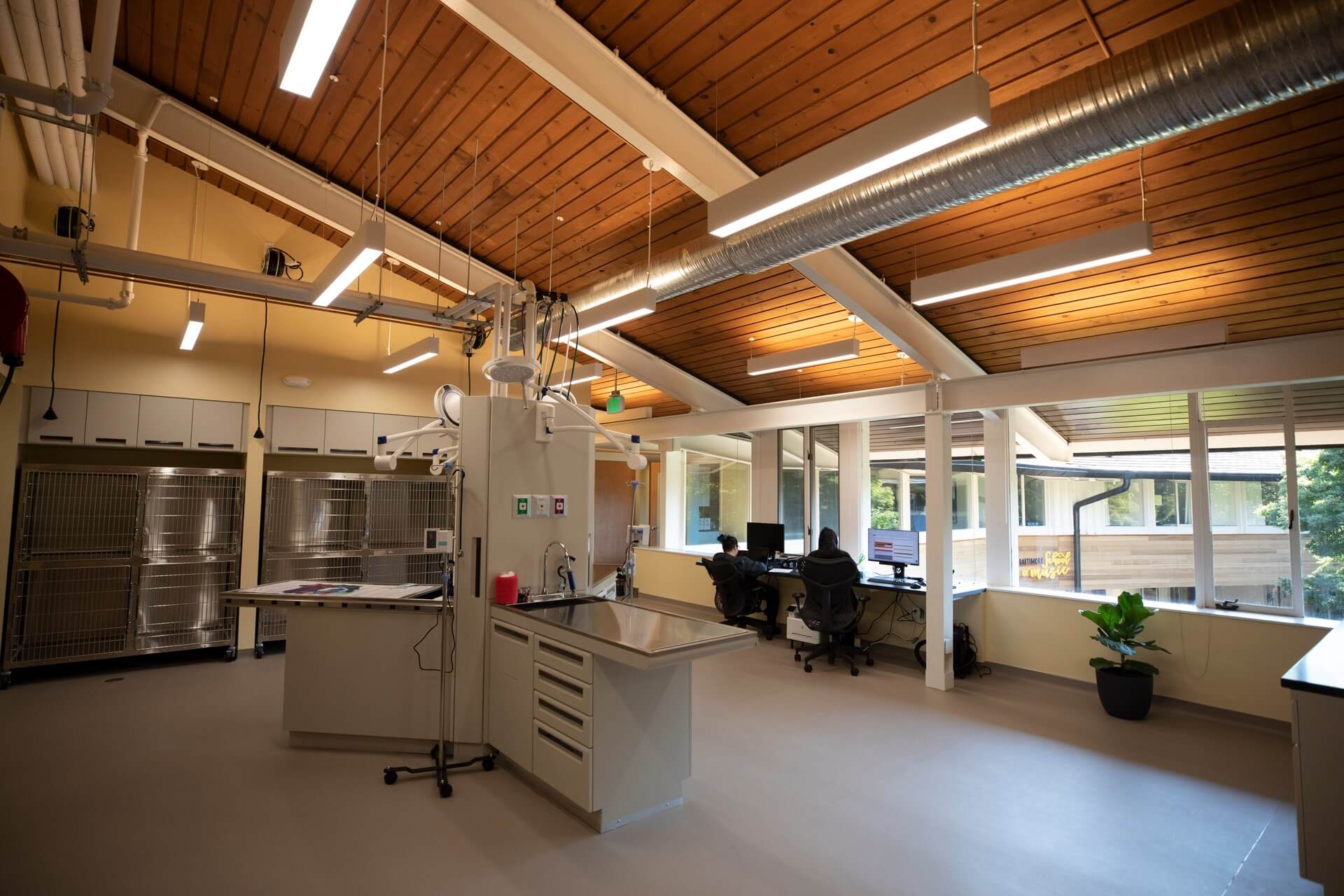Open treatment room – Everhart Veterinary Medicine, Village of Cross Keys