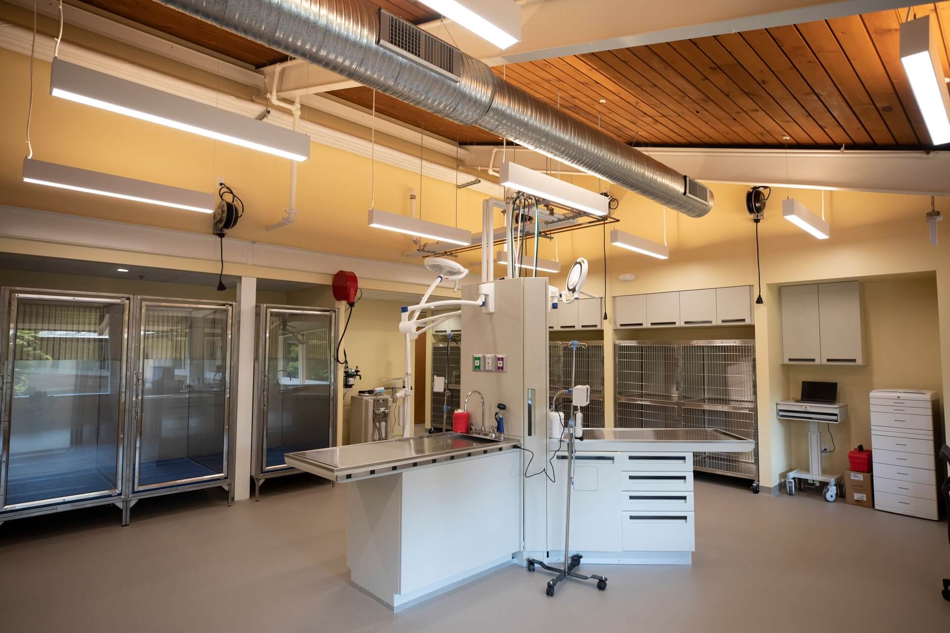 Operating room – Everhart Veterinary Medicine, Village of Cross Keys