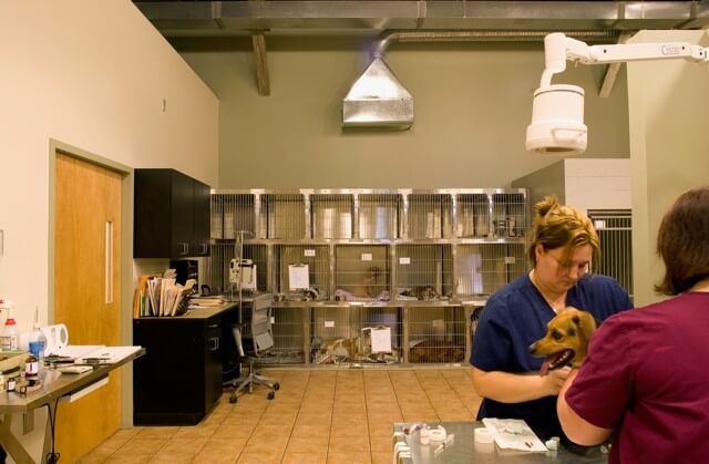 Reception area – Everhart Veterinary Hospital
