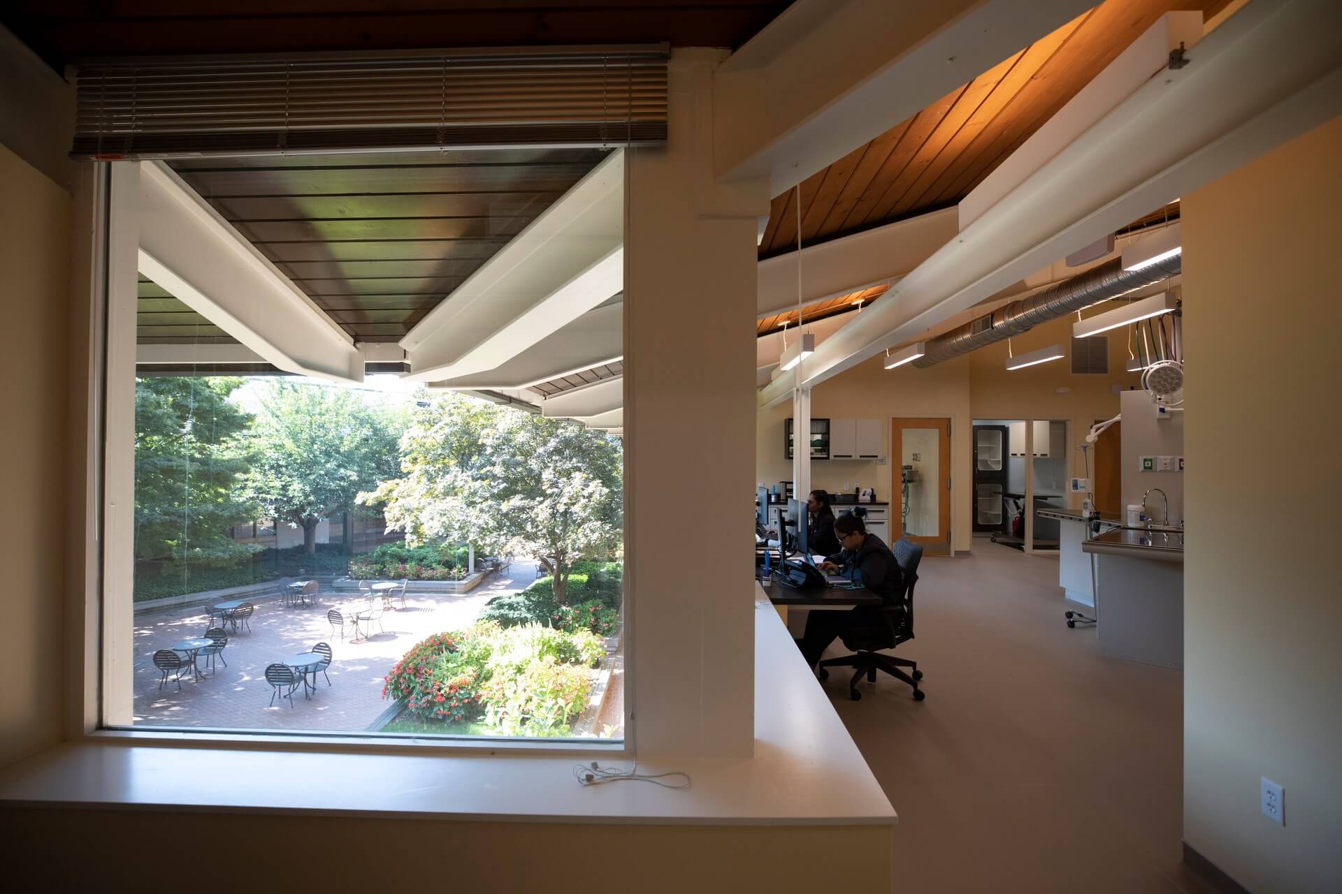 Recovery room with garden view – Everhart Veterinary Medicine, Village of Cross Keys