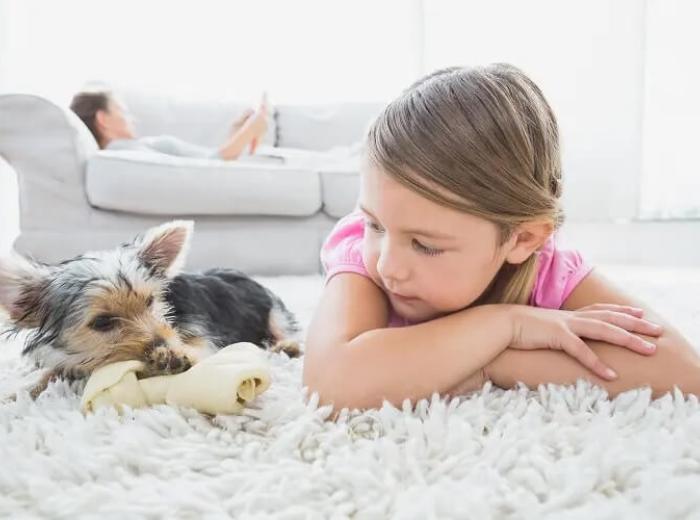 Can Dogs Eat Bones?