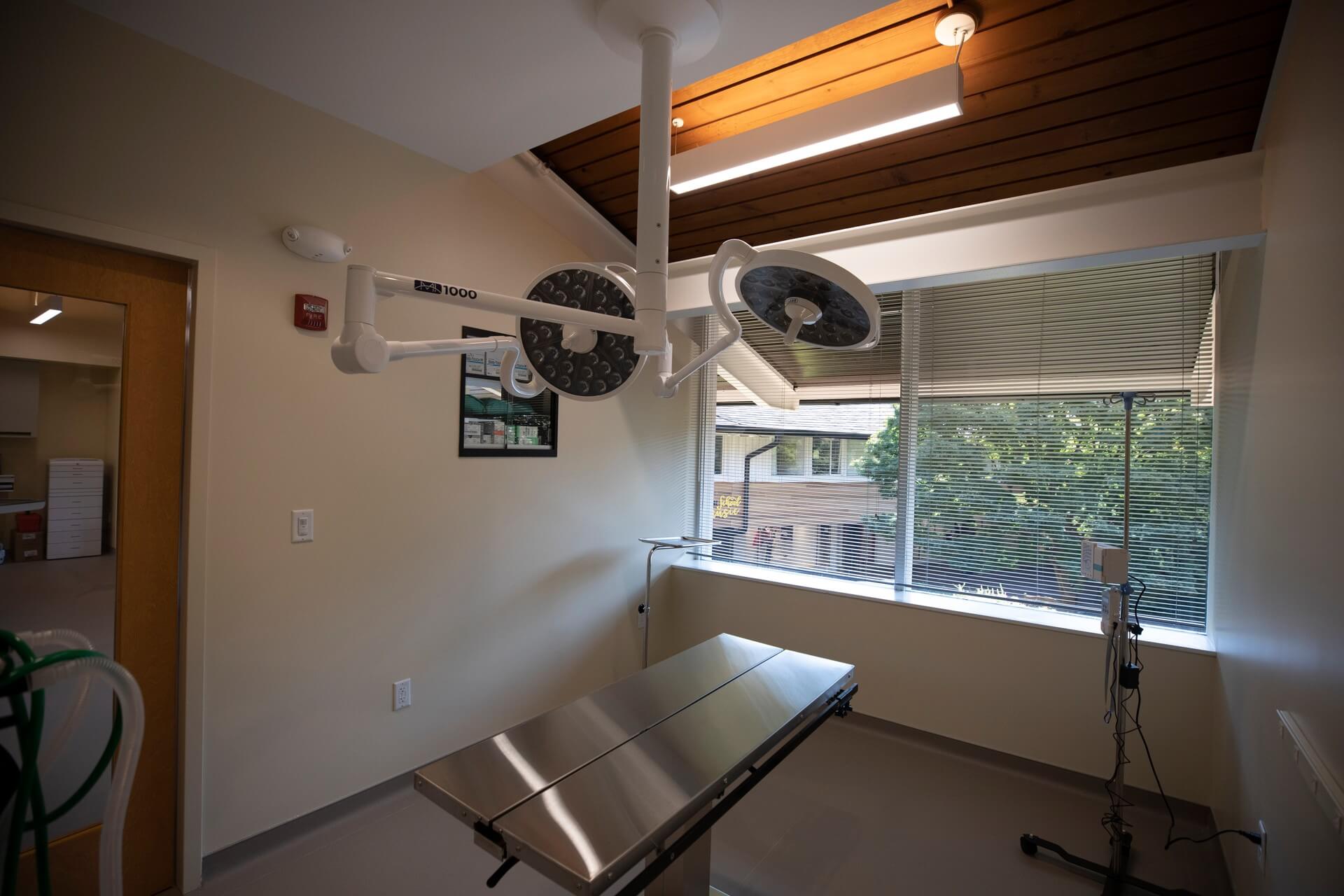 Surgery preparation area – Everhart Veterinary Medicine, Village of Cross Keys