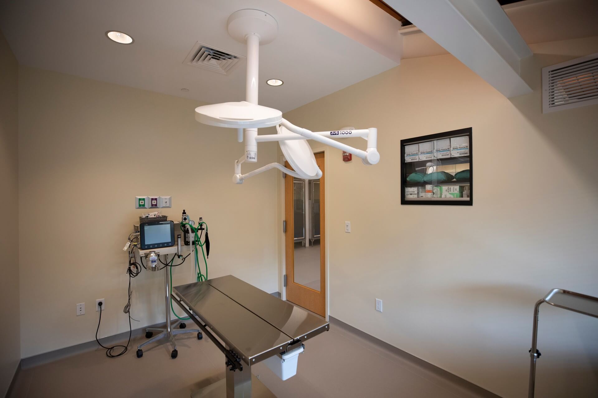 Surgical suite – Everhart Veterinary Medicine, Village of Cross Keys