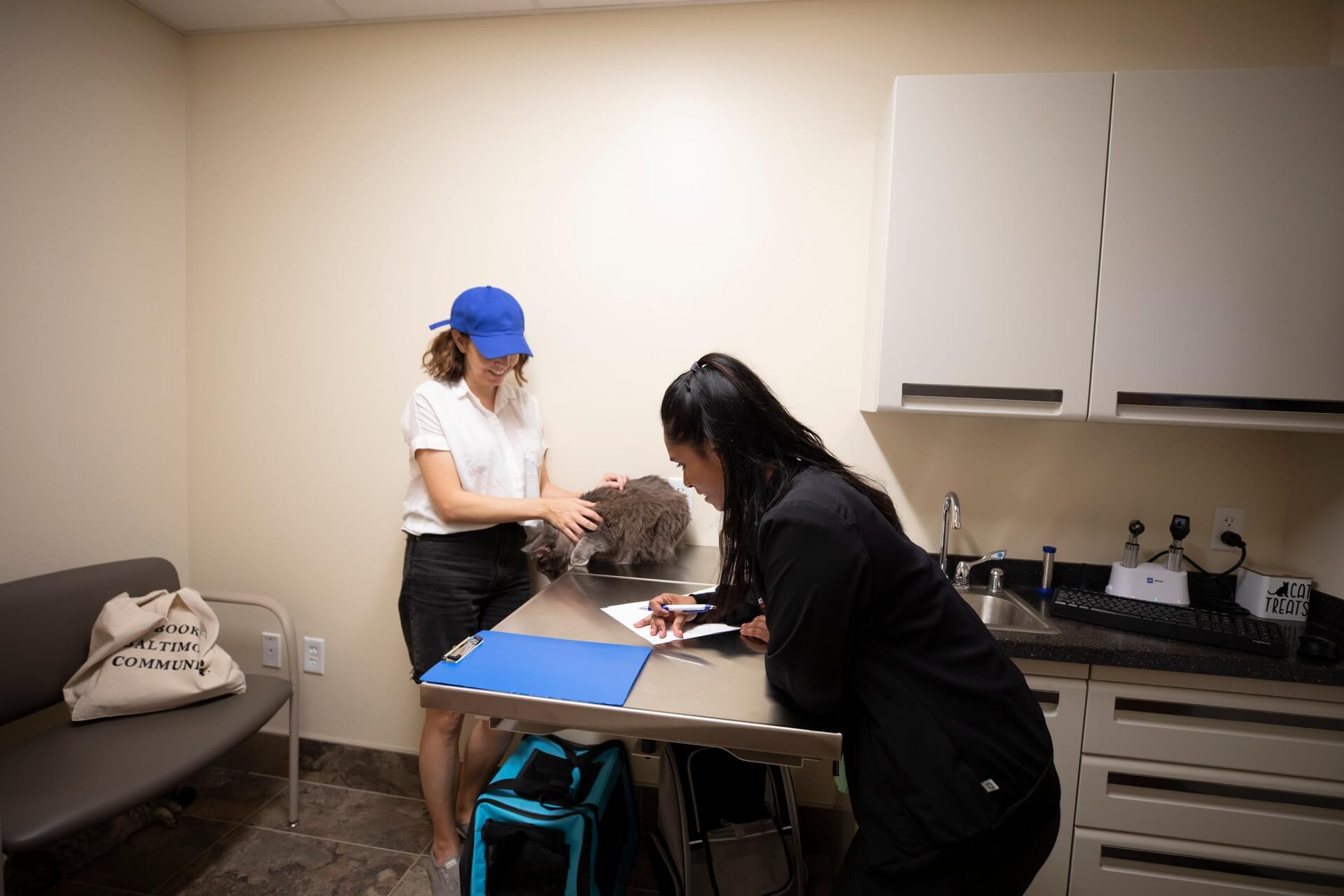 Team member examining a cat – Everhart Veterinary Medicine, Village of Cross Keys