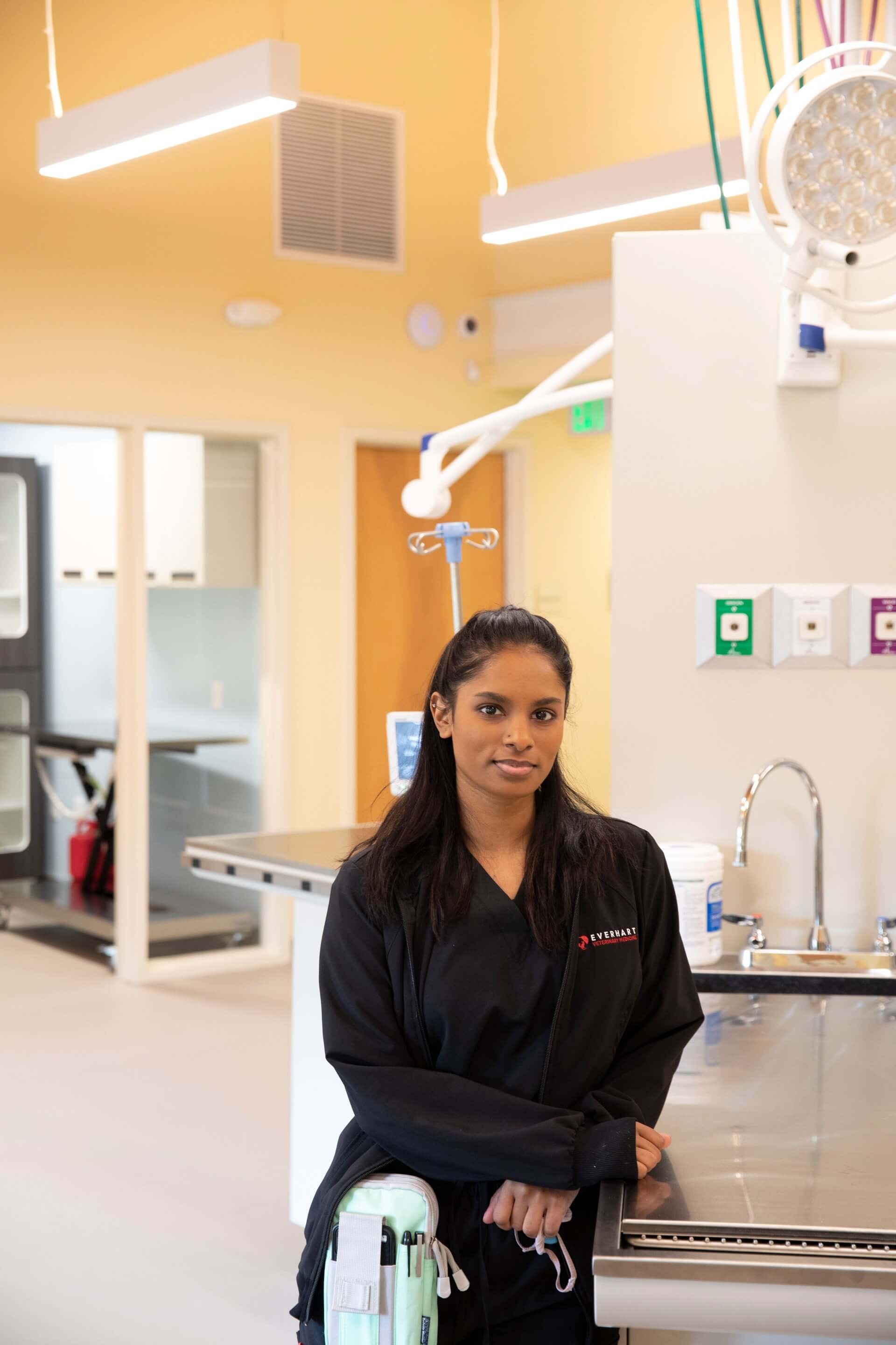 Team member in an exam room – Everhart Veterinary Medicine, Village of Cross Keys