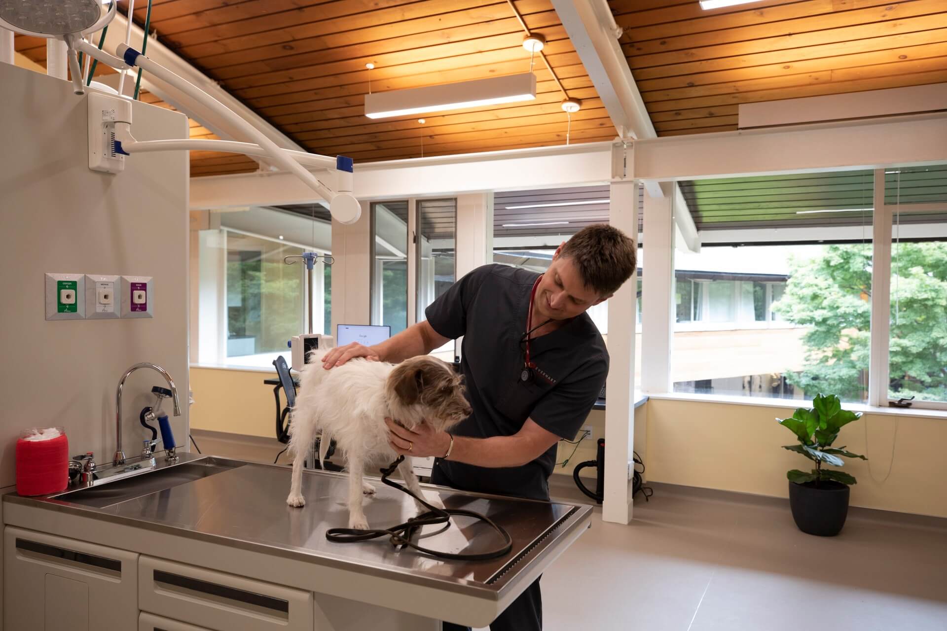 Team member kneeling with a dog – Everhart Veterinary Medicine, Village of Cross Keys