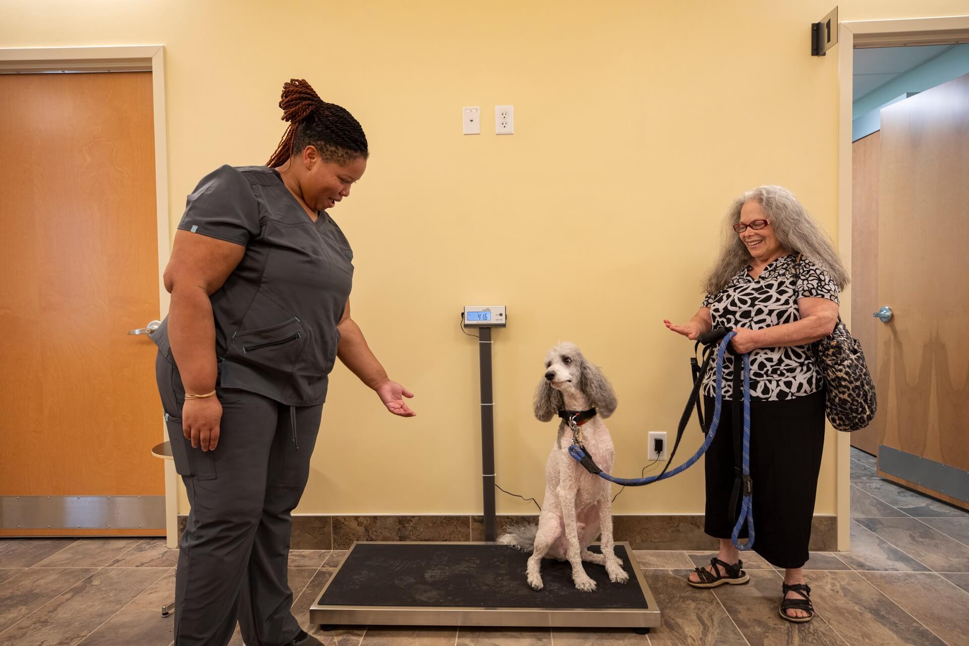 Team member with a dog at the entrance – Everhart Veterinary Medicine, Village of Cross Keys