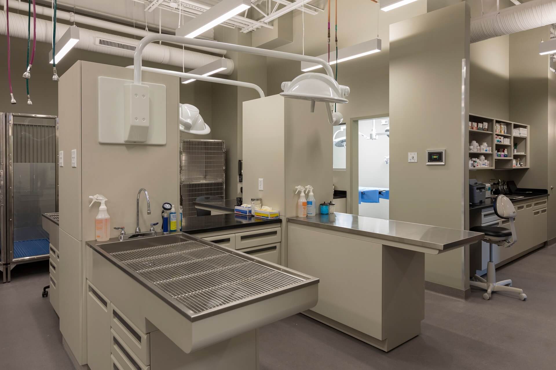 Treatment area – Everhart WellPet Center