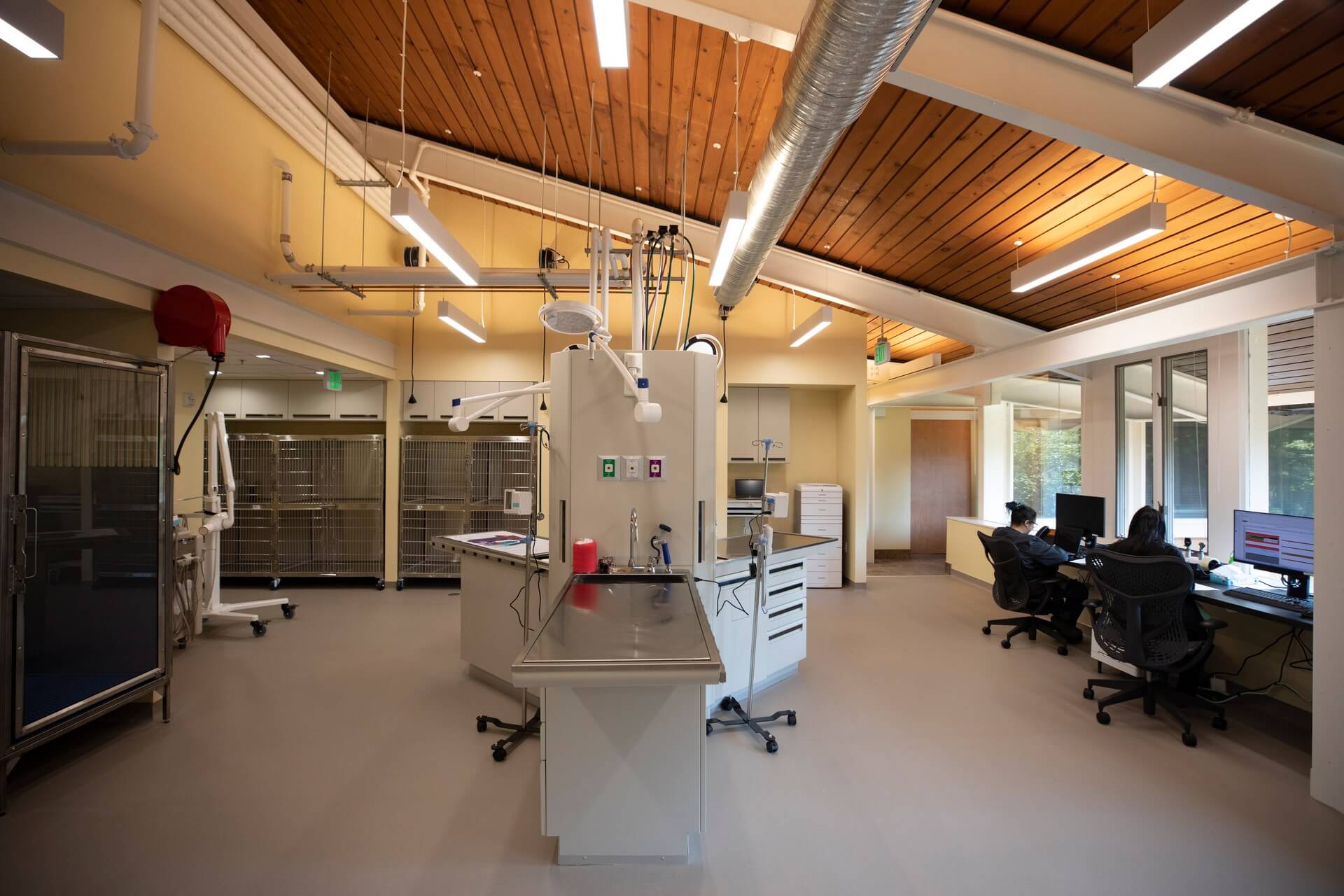 Treatment area – Everhart Veterinary Medicine, Village of Cross Keys