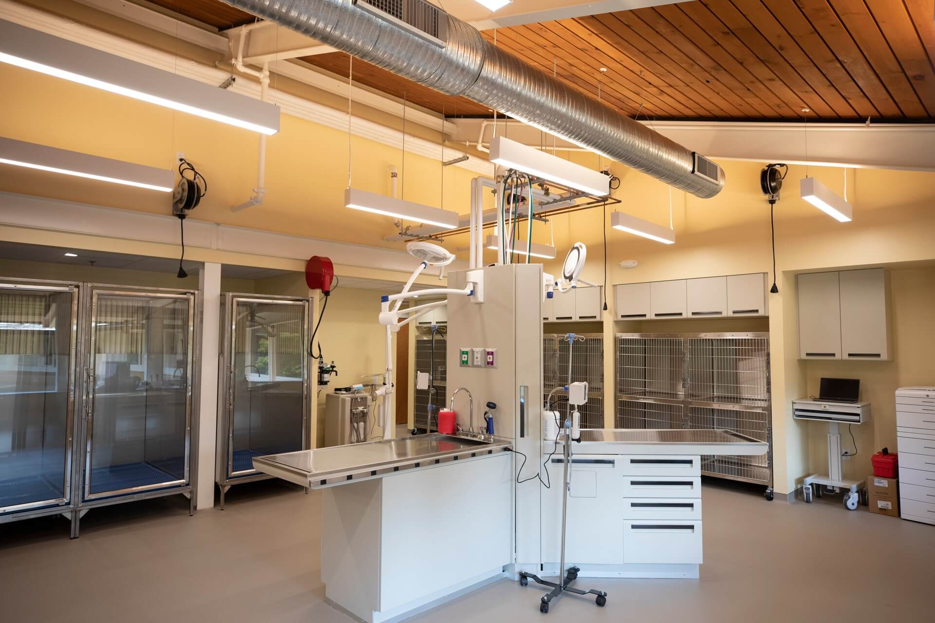 Treatment bay – Everhart Veterinary Medicine, Village of Cross Keys