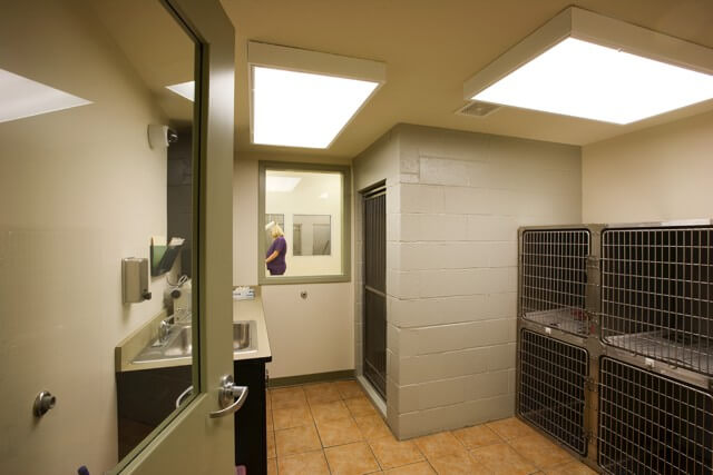 Treatment corridor – Everhart Veterinary Hospital
