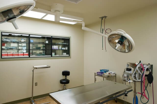 Treatment room – Everhart Veterinary Hospital