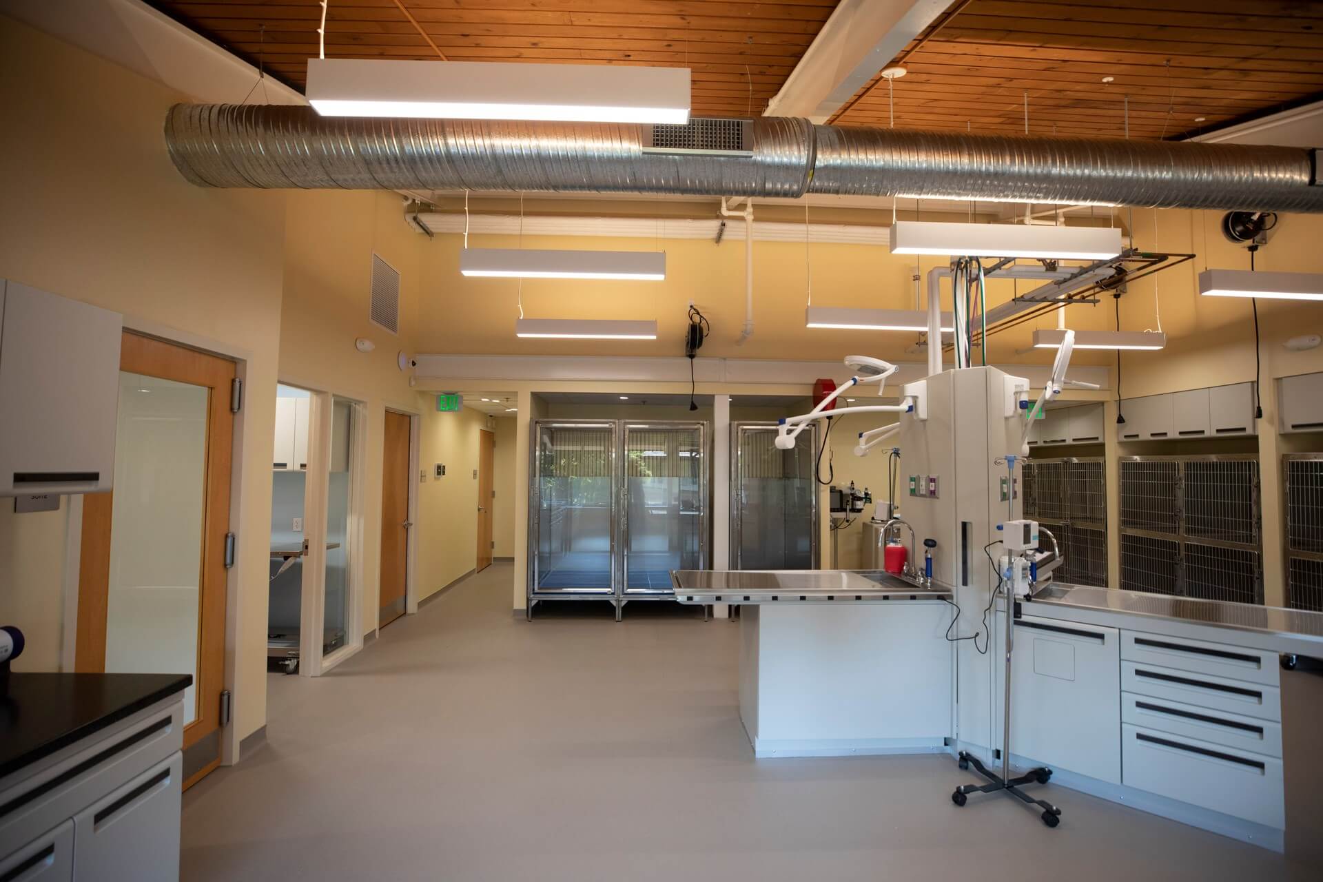 Treatment station – Everhart Veterinary Medicine, Village of Cross Keys