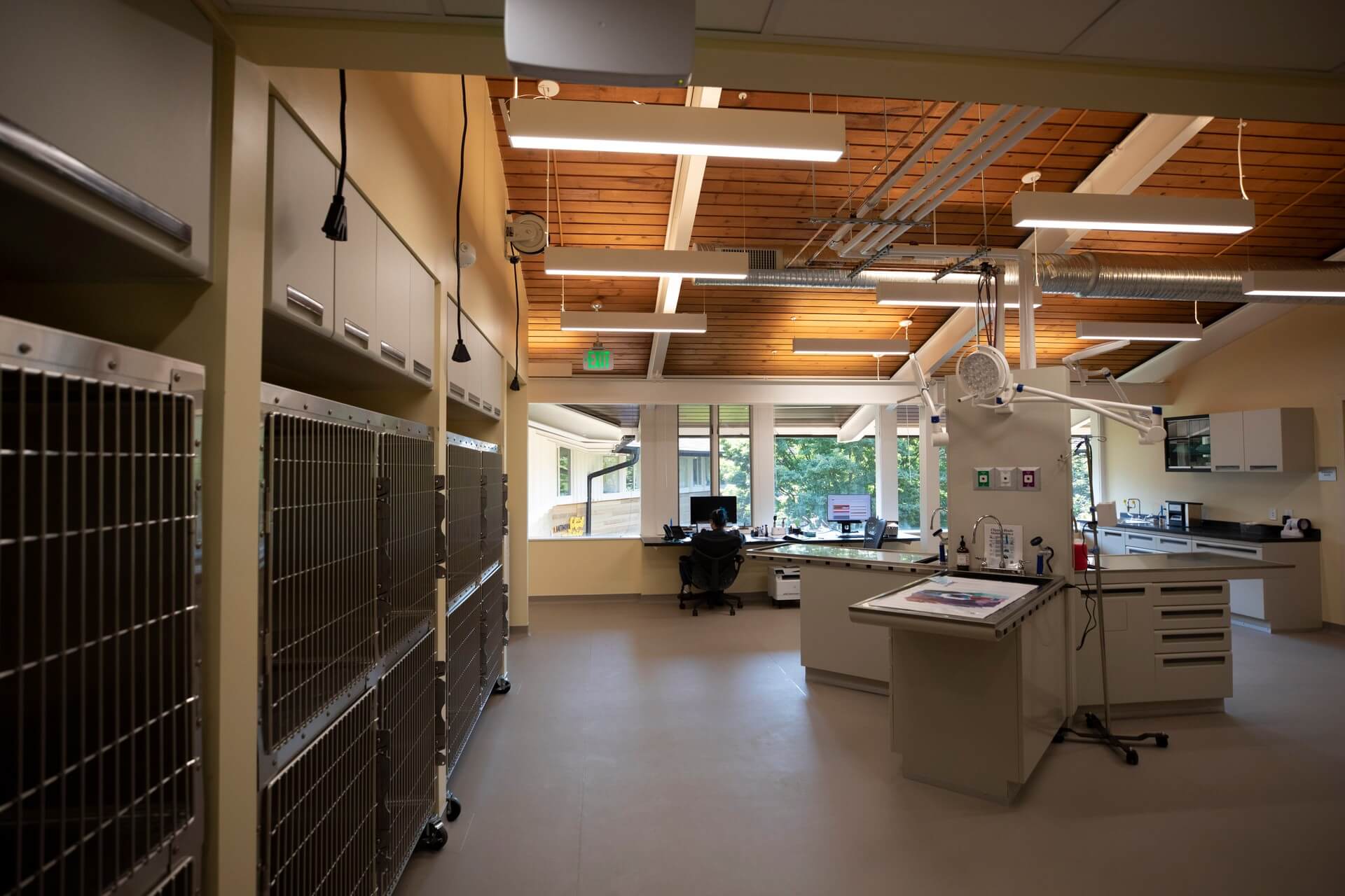 Treatment suite – Everhart Veterinary Medicine, Village of Cross Keys