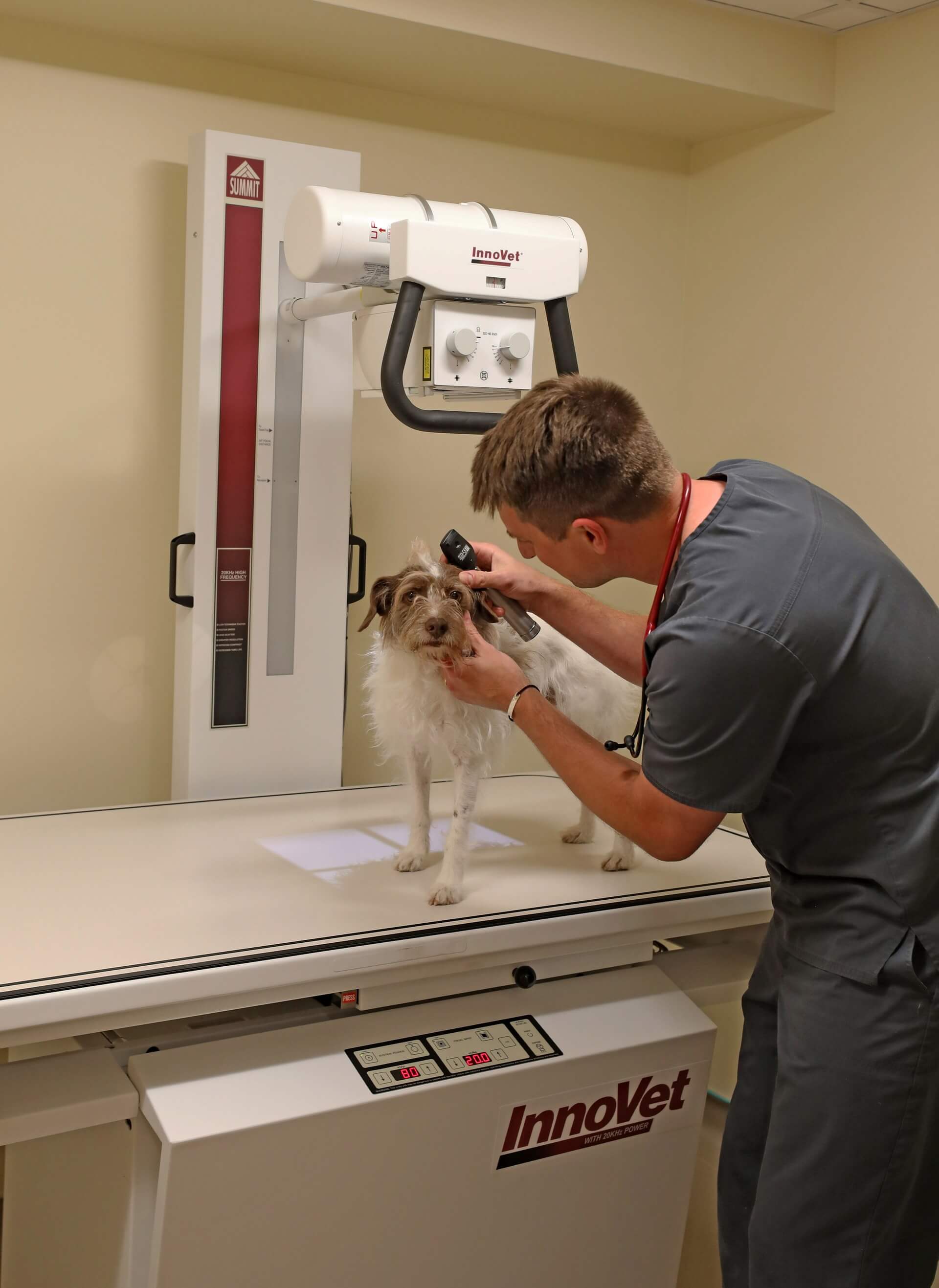 Veterinarian examining a dog – Everhart Veterinary Medicine, Village of Cross Keys
