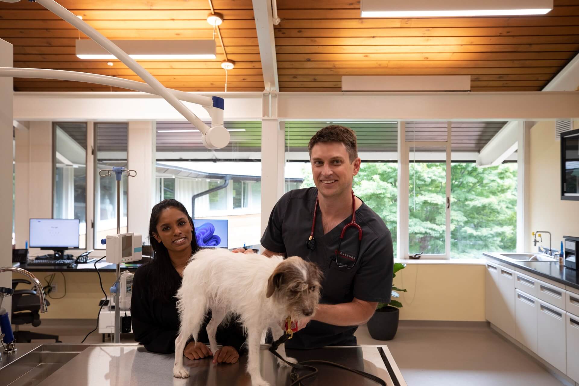 Veterinary team with patients – Everhart Veterinary Medicine, Village of Cross Keys
