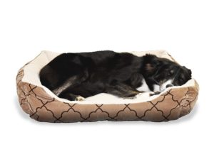 How to Create a Safe and Comfortable Living Space for Your Pet at Home