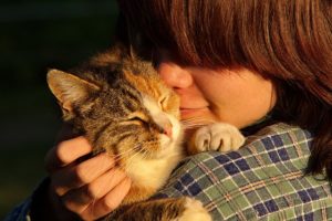 Tips on Caring for an Elderly Cat