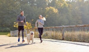 fitness, sport, people and lifestyle concept - happy couple with dog running outdoors