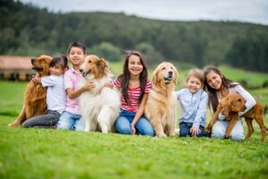 everhart veterinary dogs kids