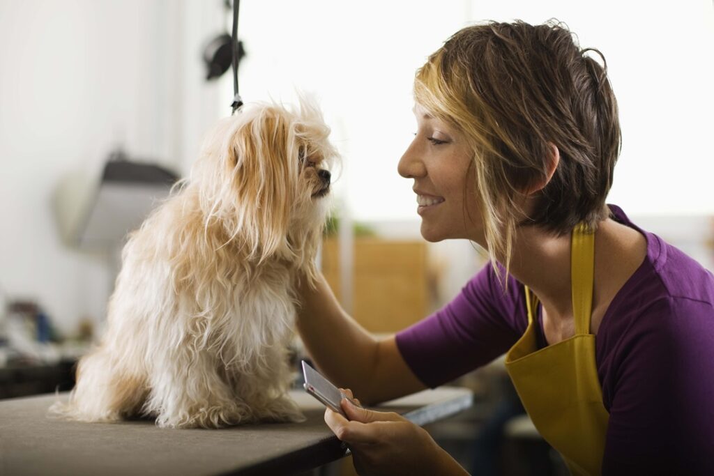 Groomer with a dog